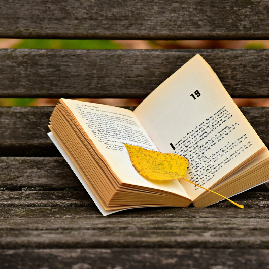 Combien de temps de lecture par jour ? 2 Livre ouvert sur un banc avec une feuille, représentant une lecture quotidienne en plein air